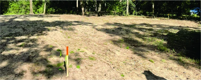 From Barren to Blooming: The Power of Sustainable Land Management