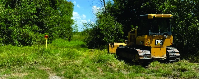 Clearing and Underbrush